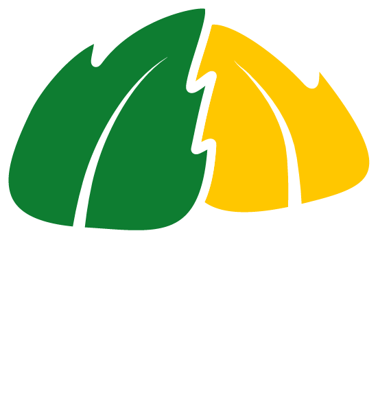 UPSC logo
